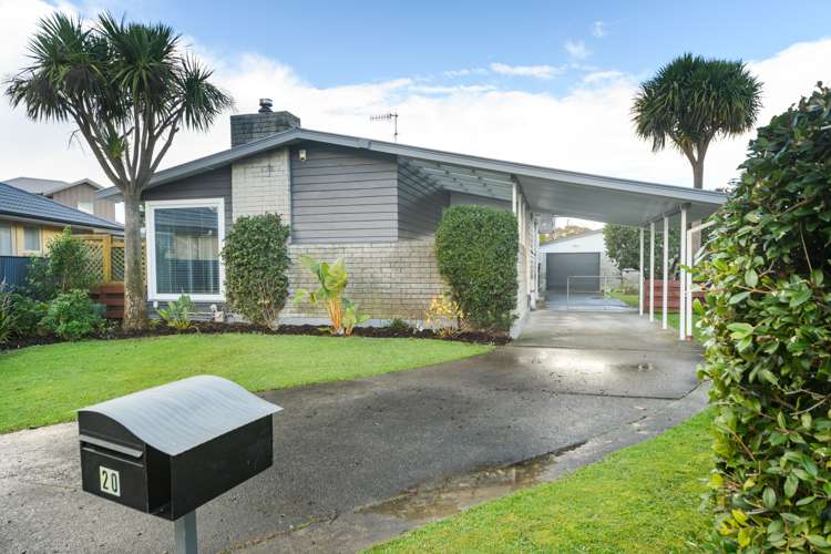 20 Anglesey Place Awapuni_25