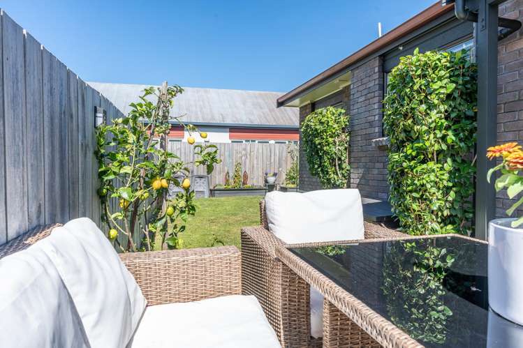 29b Cook Street Hamilton East_10