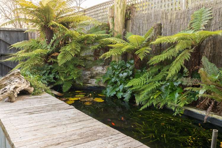 34a Greenhaven Drive Burwood_22