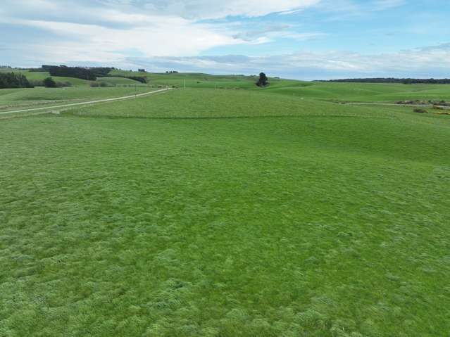 Established Dairy Grazing and Silage Unit