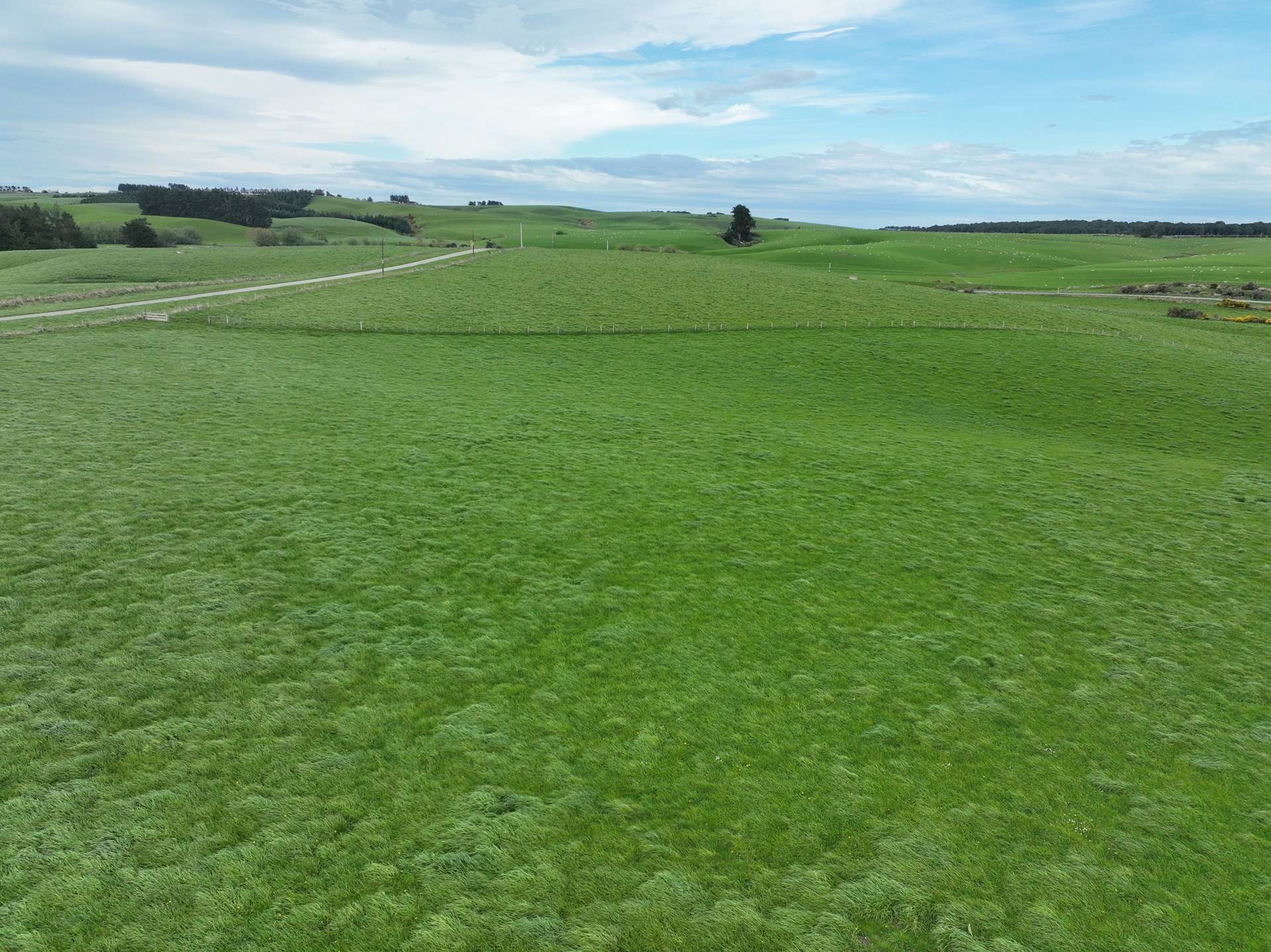 75 + 100 Crighton Road Waimahaka_0