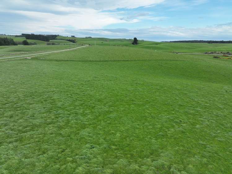 75 + 100 Crighton Road_0