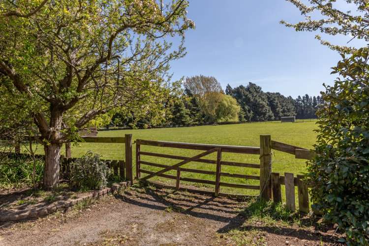 81 Meadowlands Road Templeton_8