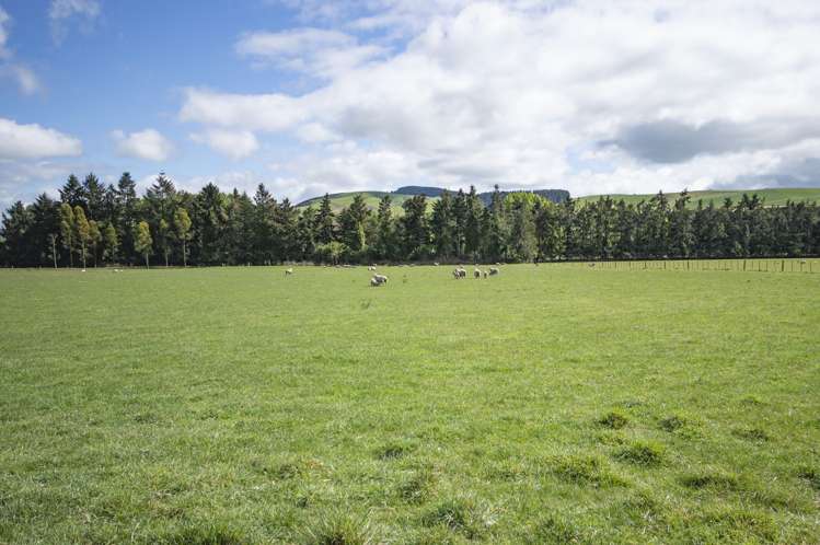 35 Andrew Street Allenton_19