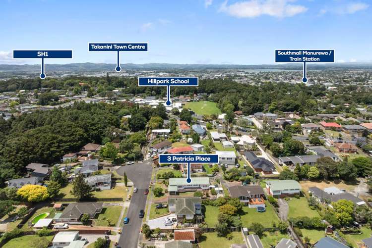 3 Patricia Place Hill Park_17
