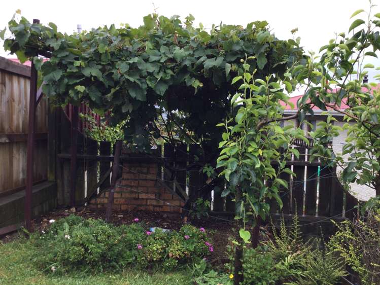 104 Hays Place Thames_17