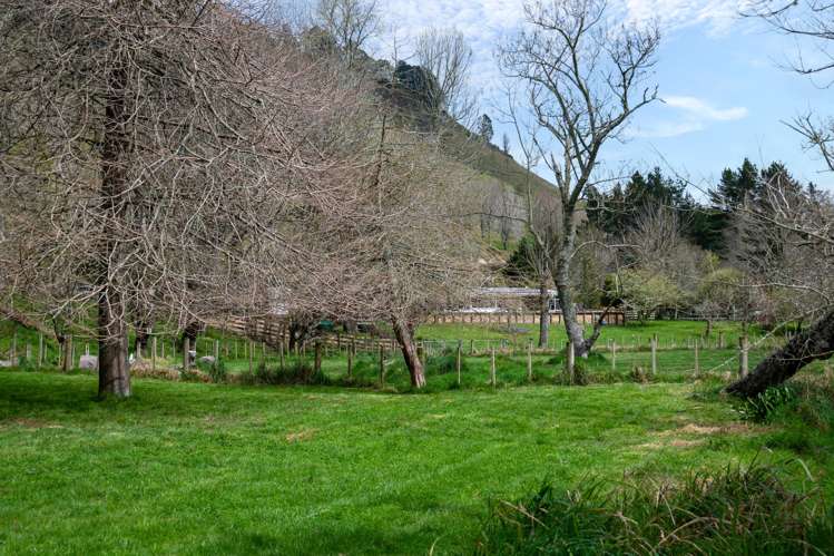 1039 Paradise Valley Road Ngongotaha Valley_37