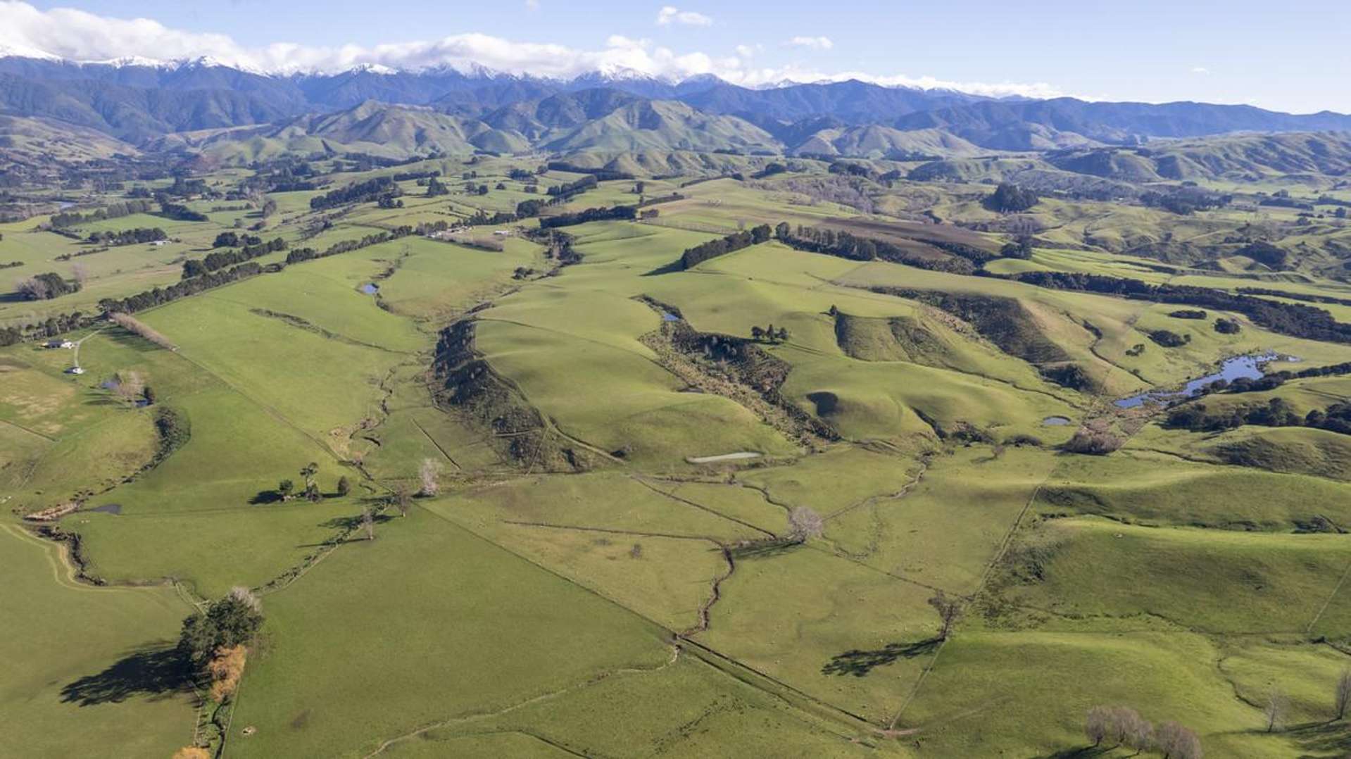 Burnetts Road Masterton_0