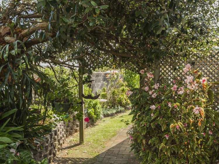 18a Britton Avenue Mount Roskill_5