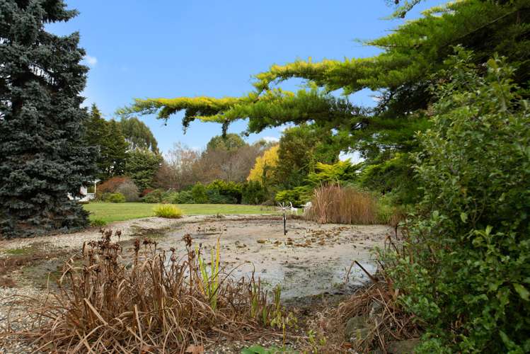 12 Braudigam Road West Tapanui_25