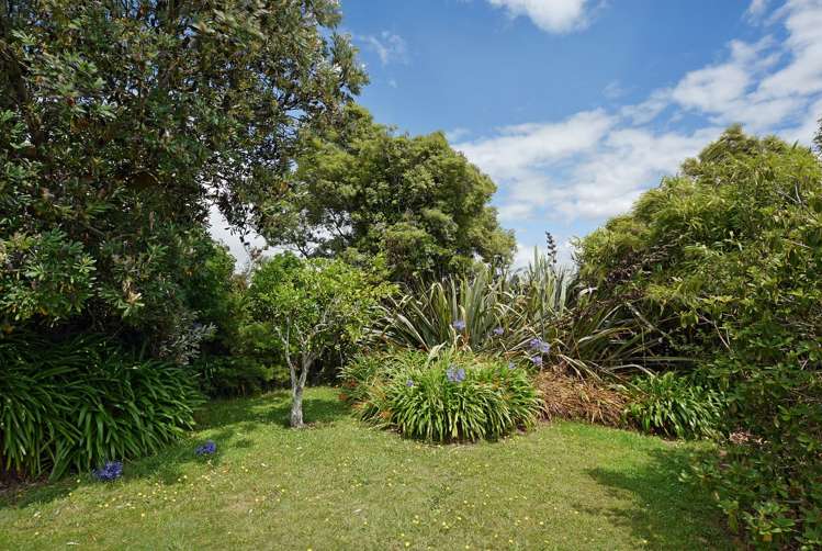 6 Cliff Road Tasman_15