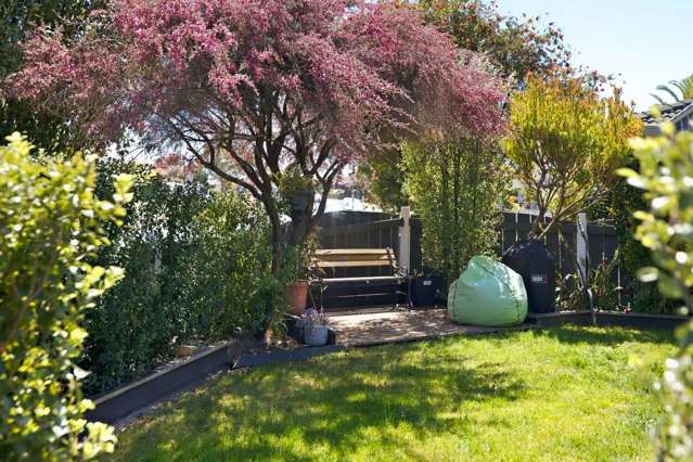 49A Lotus Avenue Mt Maunganui_3