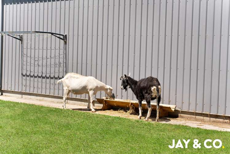 408 Lyons Road Mangatawhiri_10