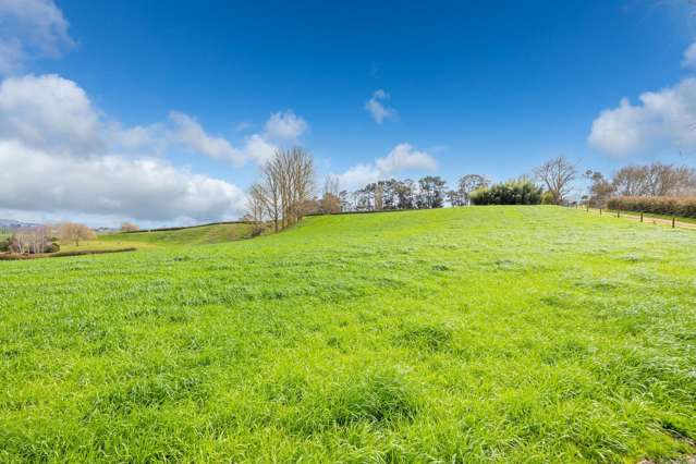 275 St Leger Rd Kihikihi_3