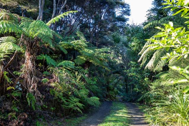 225b Driving Creek Road Coromandel_2