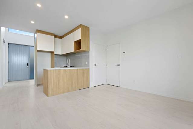 10b Playfair Road Mount Roskill_4