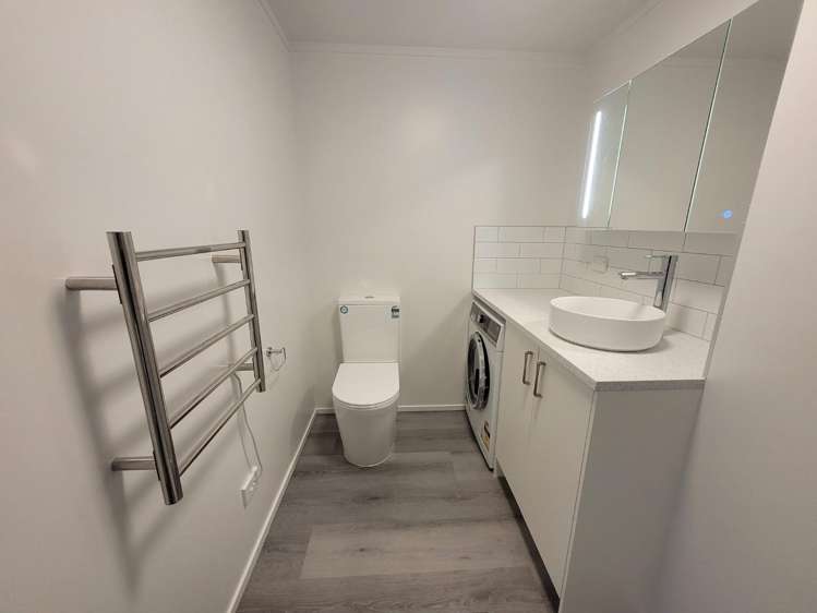 2/12 Nikau Street 10021_6