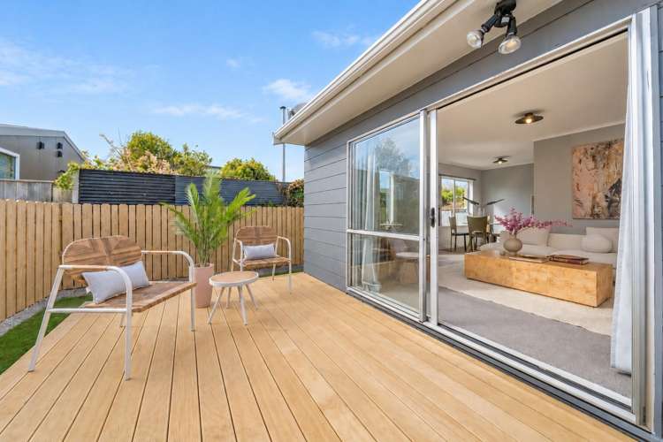 2/14 Plunket Avenue Petone_1