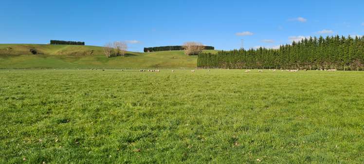 526 Turnbull Road Gore Surrounds_9