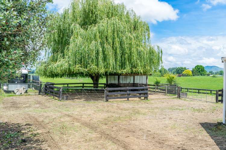 41 Sheehan Street Kihikihi_18