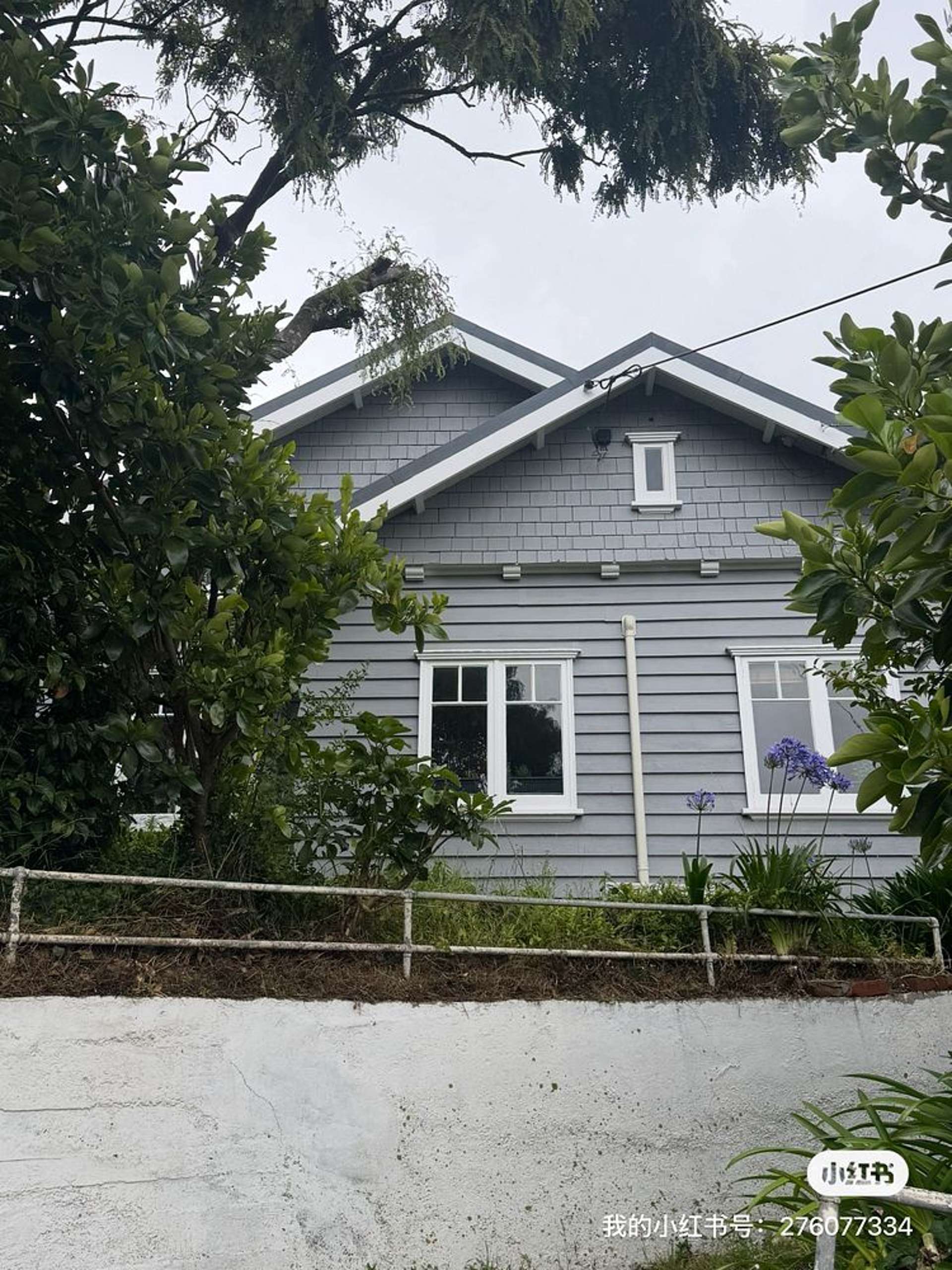 44 Pitt Street Wadestown_0