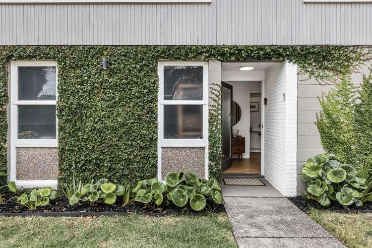 1/9 Buxton Street Point Chevalier_0
