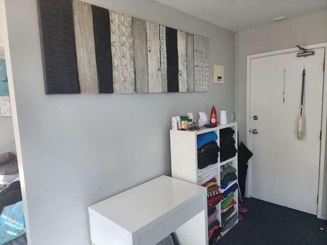 12b/33 Mount Street Auckland Central_3