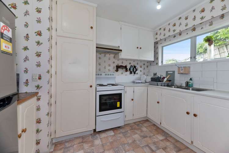 19 Catton Crescent Mt Roskill_11