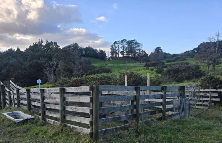 109 Hunua Road Drury_5