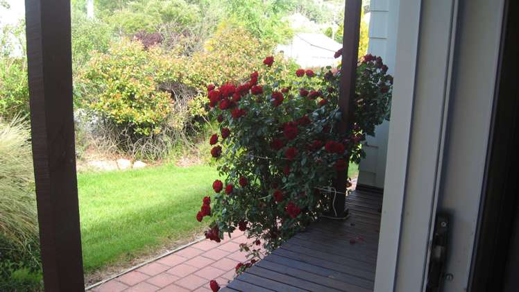 16 Foyle Street Naseby_8