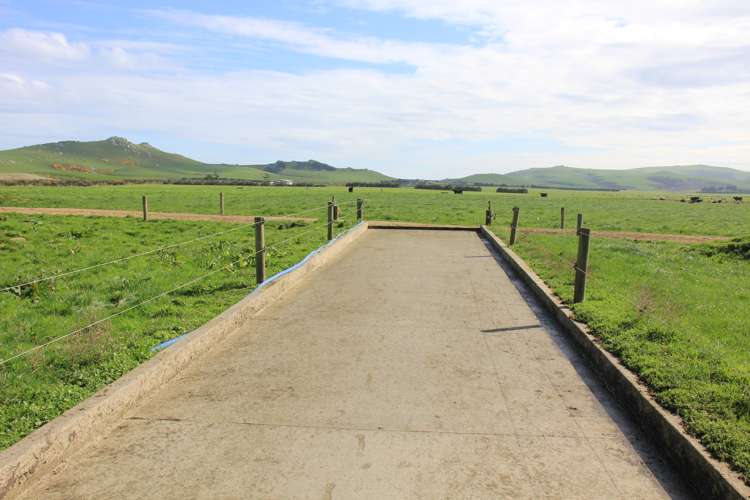 658 Pahia Wakapatu Road Ruahine_23