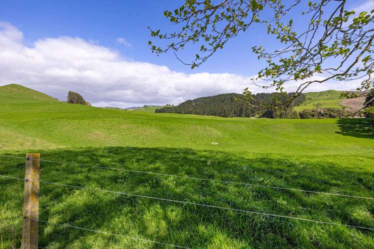 310 Paparamu Road Piarere_19