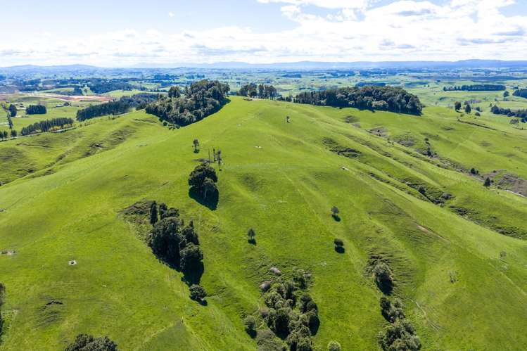 656 Waotu Road South Putāruru_18
