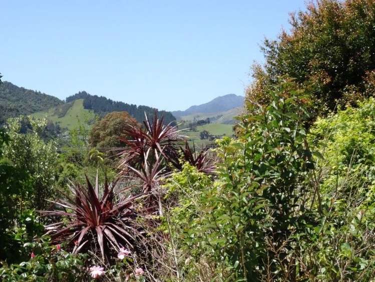 111 Te Arapipi Road Thames_15