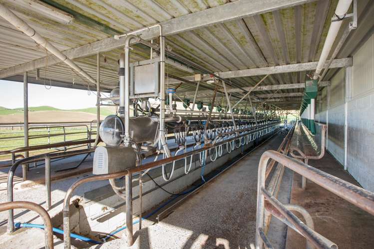 24 Waterworks Road Morrinsville_9