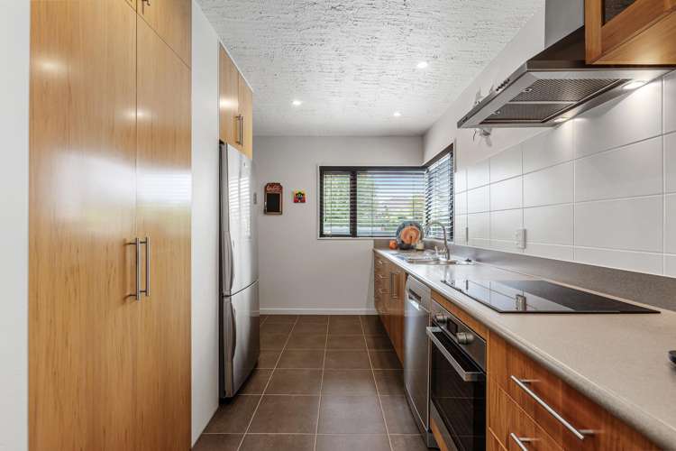 43b Murphys Road Springlands_10