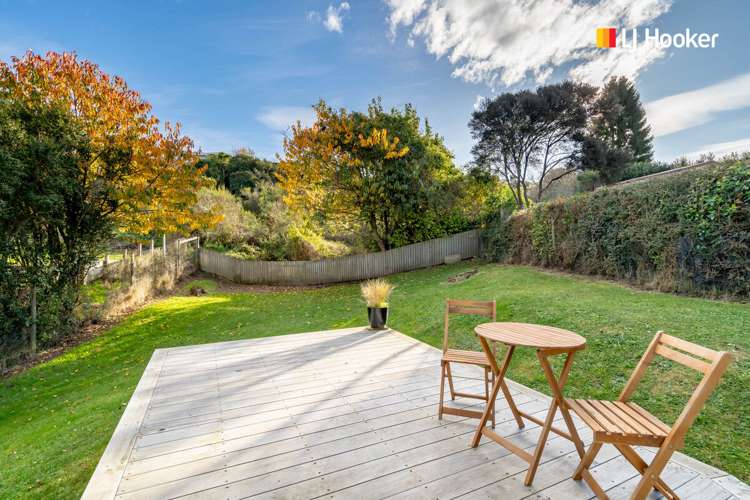 113 Chapman Street Wakari_19