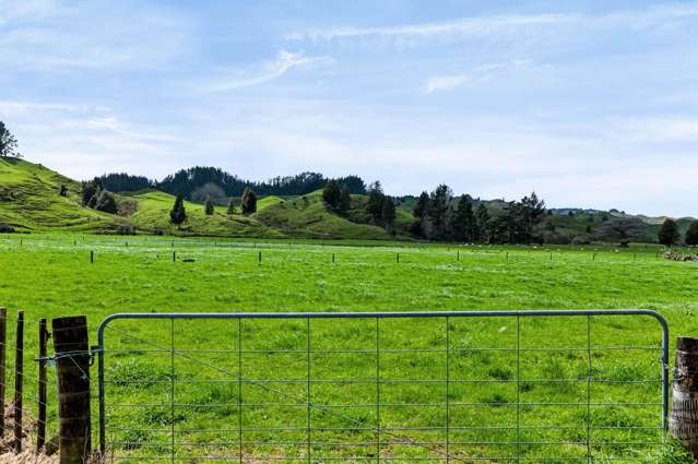 1151 Makuri Road Huiroa_2
