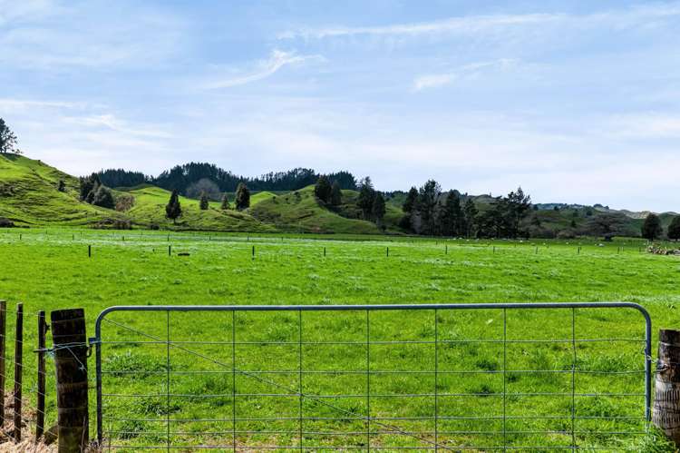 1151 Makuri Road Huiroa_2
