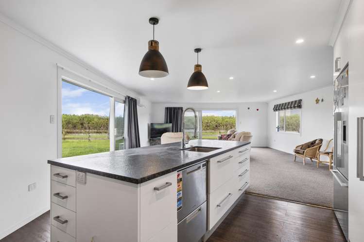 305 Waihi Road_5