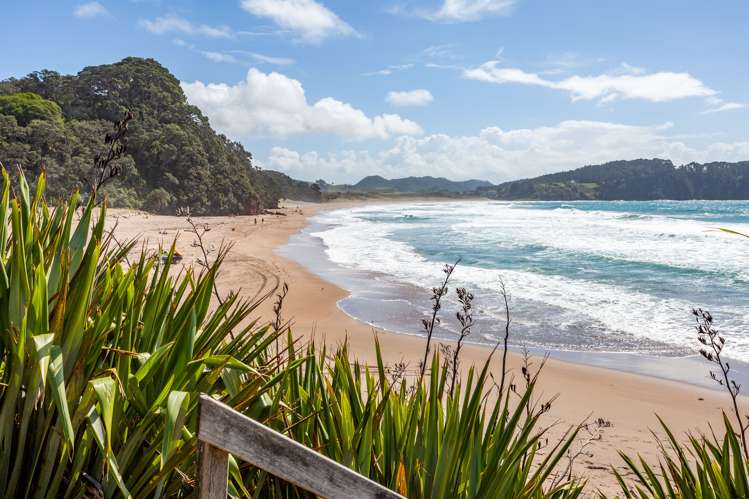 17 Pye Place Hot Water Beach_21