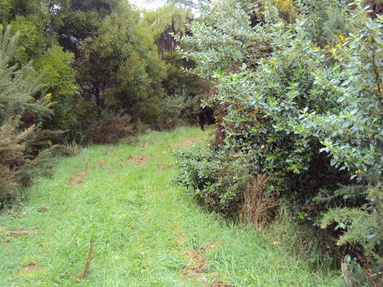 858 Shwy 67 Nikau Kahurangi National Park_0