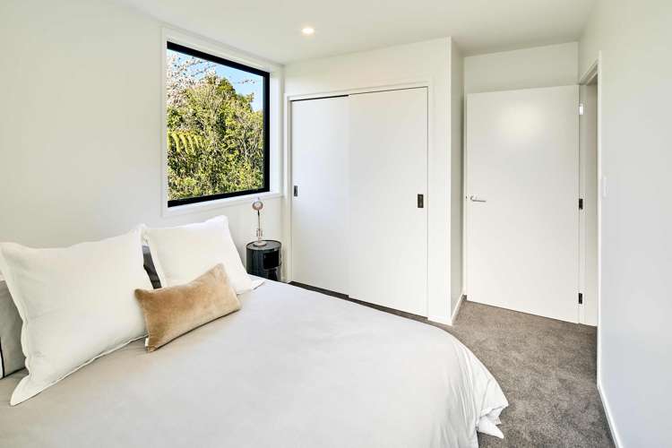 17 Ara Toutouwai Karori_9