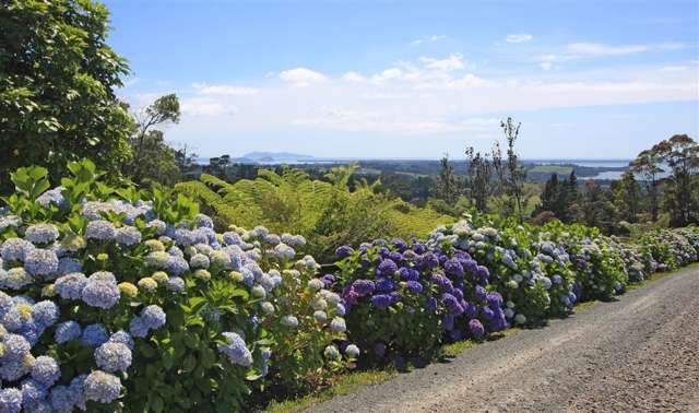 310 Lindemann Road Hauraki Surrounds_4