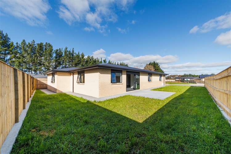 53 Hereford Street Marton_19