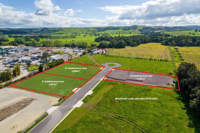 21, 22 & 23 Kahikatearoa Lane Waipapa_1