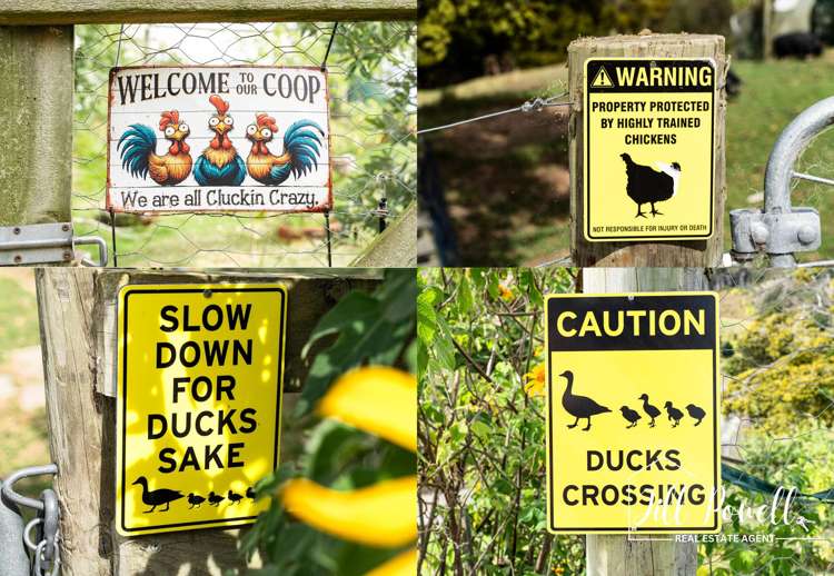 611 Bickerstaffe Road Maungaturoto_32