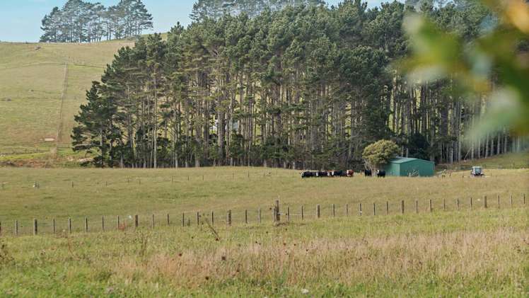 64 Haszard Road Taupaki_10