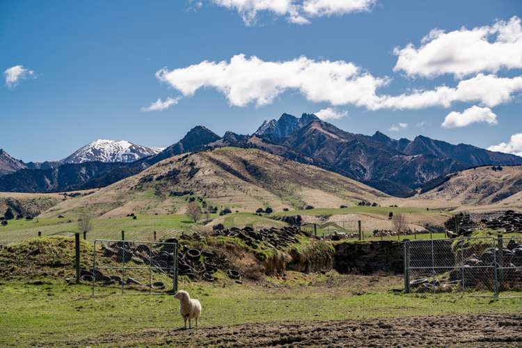 365 Maungawera Valley Road Albert Town_7