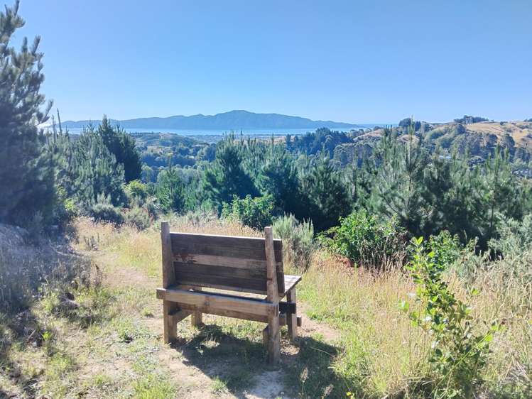 32 Maui Pomare Road Nikau Valley_38